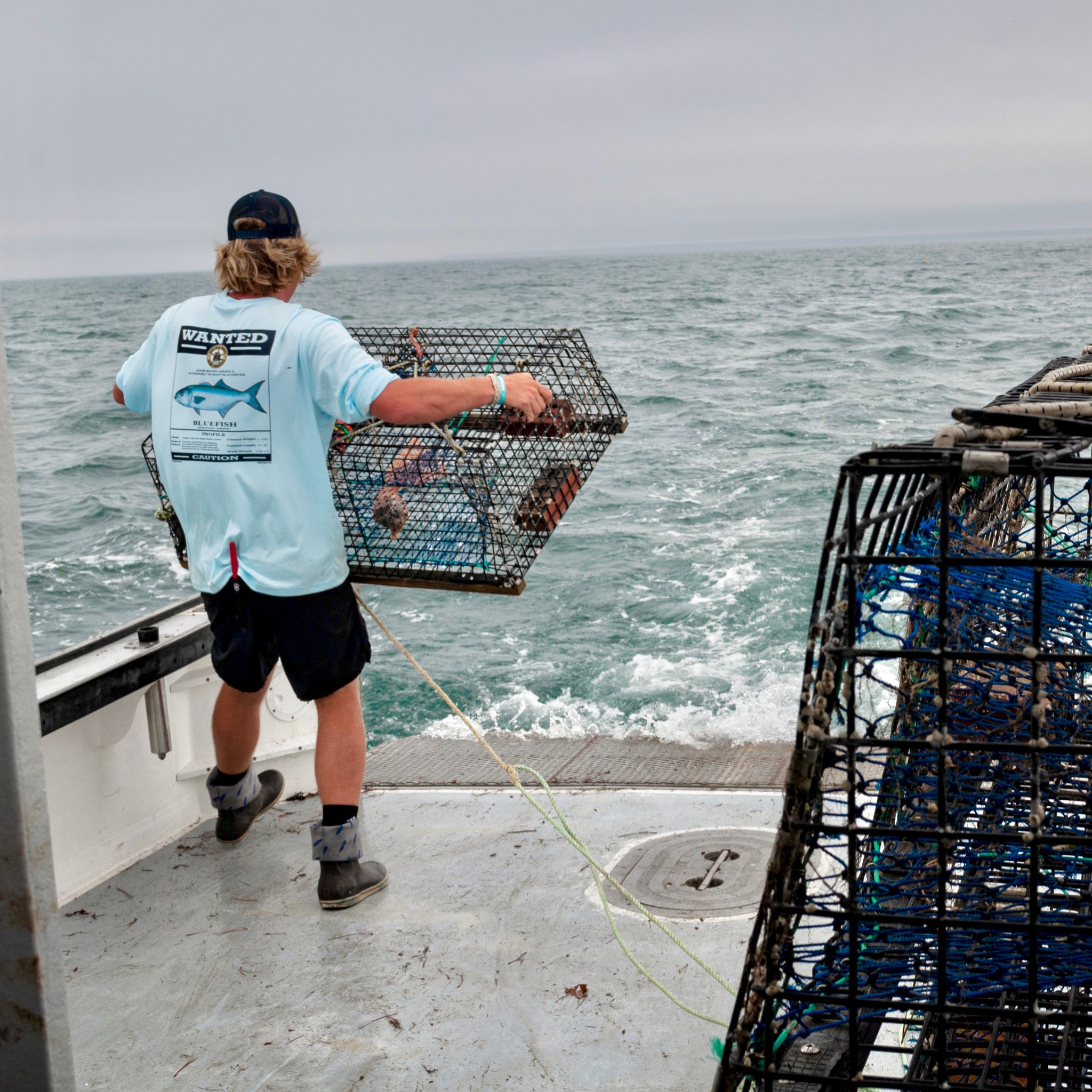 Bluefish Wanted LS Performance Crew – The Sea Party